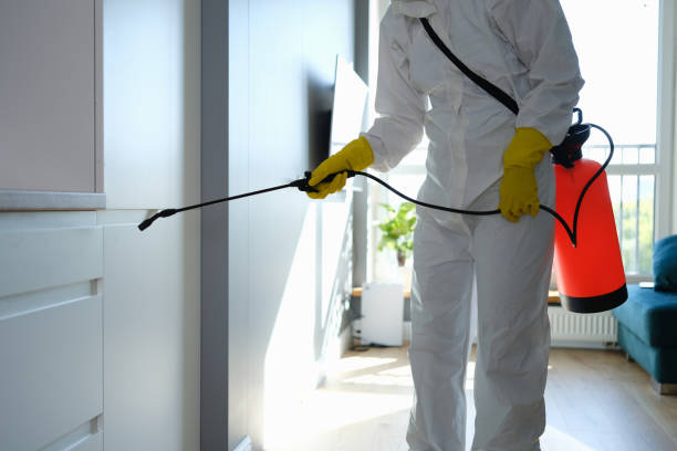 Mold Testing and Removal in Gunnison, UT